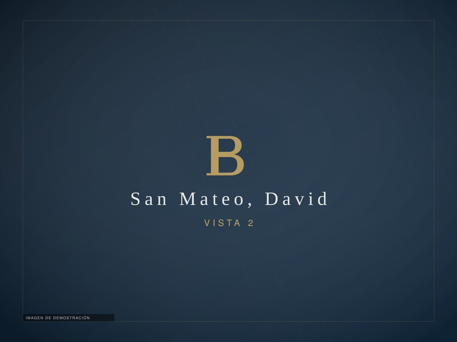 Propiedad comercial en San Mateo, David — imagen de demostración 2