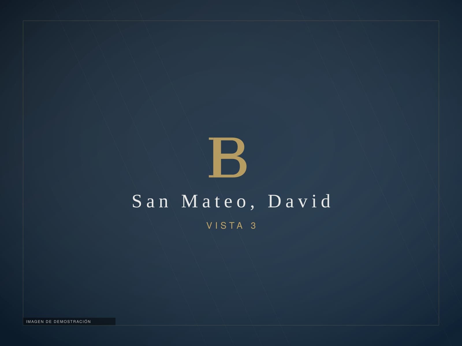 Propiedad comercial en San Mateo, David — imagen de demostración 3