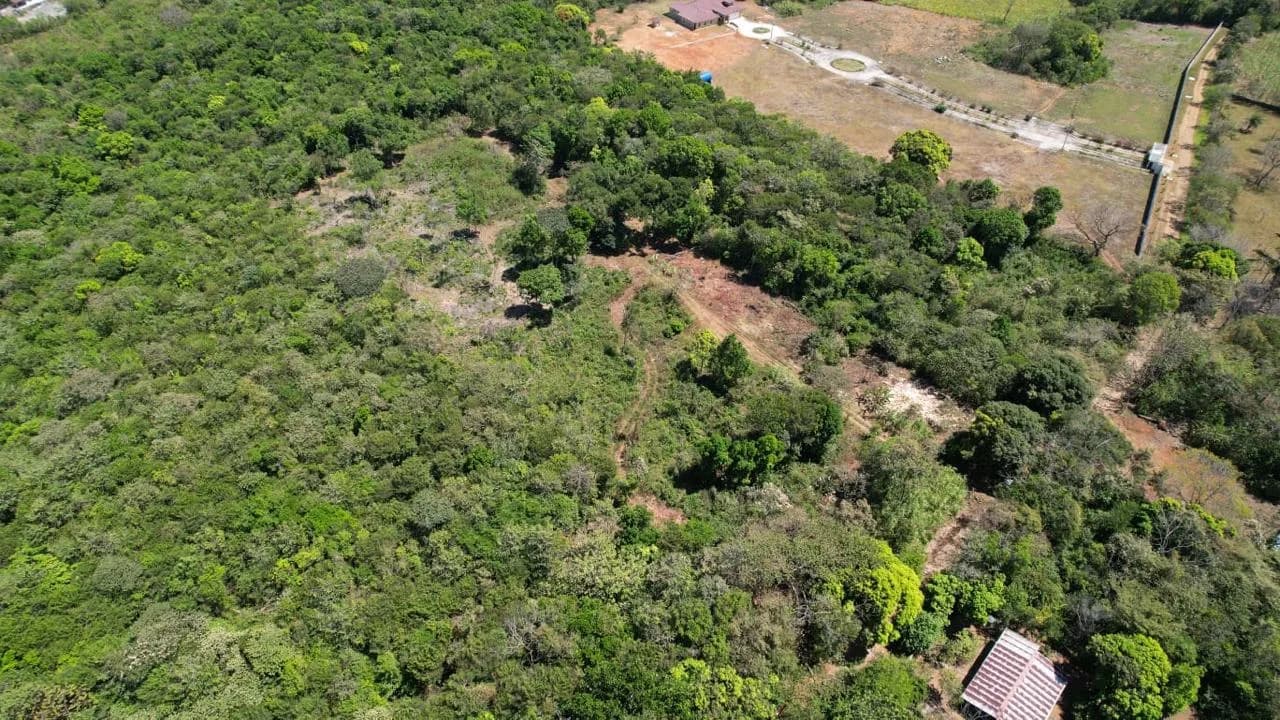 Vista panorámica aérea del terreno en Potrerillos y de las áreas verdes que rodean la propiedad.