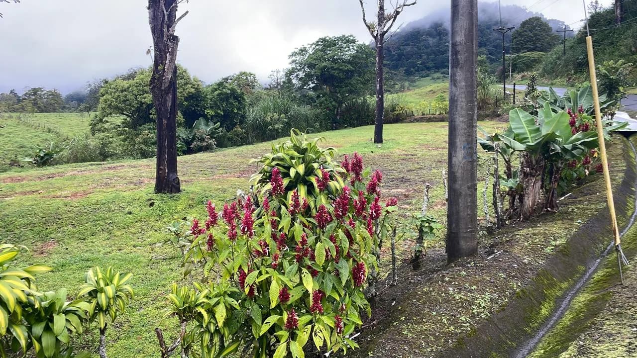Terreno de 1,672 m² en Volcán, Chiriquí