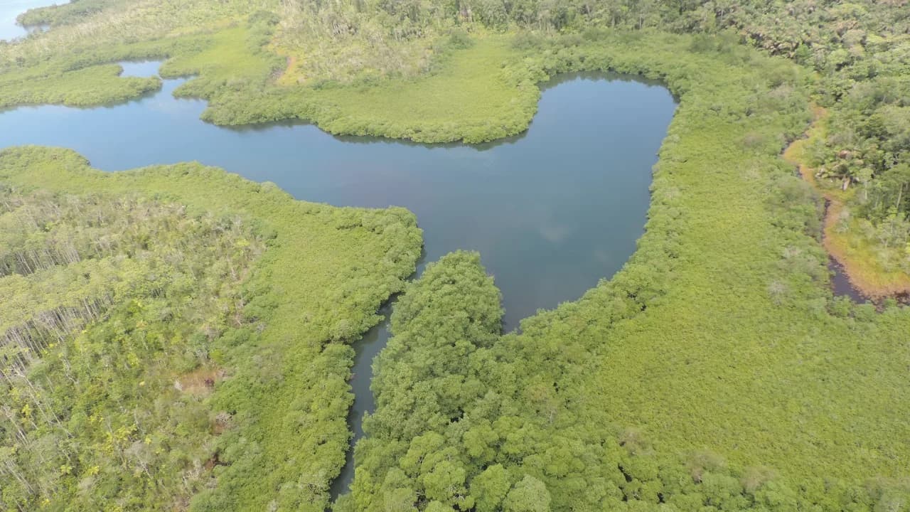 Propiedad Insular de 40 Hectáreas Frente al Mar | Bocas del Toro