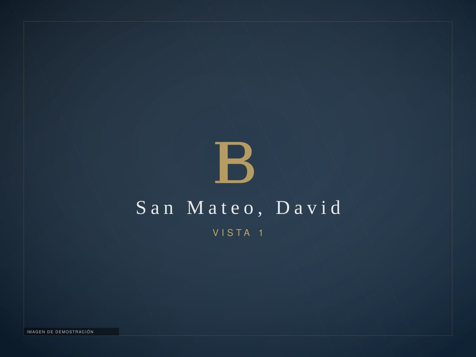 Propiedad comercial en San Mateo, David — imagen de demostración 1
